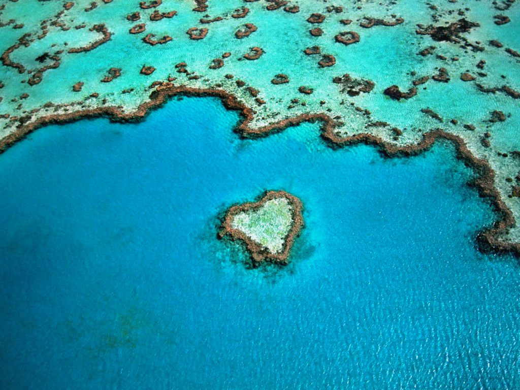 hear-reef-dans-la-grande-barriere-de-corail-en-australie